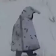 Russian Soldier's Penguin Disguise Fails Against Ukrainian Drone Strike