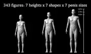 Scientific Study Confirms Women Prefer Men with Larger Penises