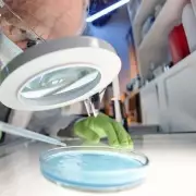 Scottish Scientists Find Protein That Could Halt Bowel and Liver Cancers