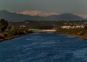 Sea Lion Named Confetti Recovers in LA After Two Bullets Found in Head