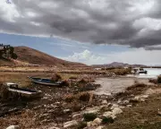 Secret UK Report Warns of Ecosystem Collapse Threat to National Security