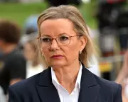 Senior Liberals Predict Sussan Ley's Leadership Doom Amid Coalition Turmoil