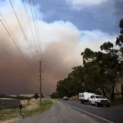 Seven Racehorses Die as Australian Bushfires Devastate Famous Lindsay Park Stables