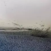 Single Mother's Plight: Sleeping Beside Black Mould in Temporary Accommodation