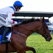 Sir Alex Ferguson's Racing Tragedy as Star Horse Kalif Du Berlais Dies at Kempton