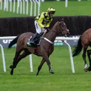 Sir Gino's Cheltenham Injury Update: Pelvic Concern for Champion Hurdle Favourite