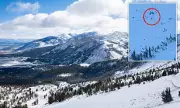 Skier Hospitalised After Paraglider Crash Into Tree at Mammoth Mountain