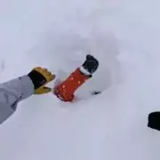 Skiers Save Boy Buried in Swiss Avalanche After Spotting Arm Waving