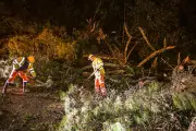 Storm Goretti Unleashes Havoc: 57,000+ Without Power, Travel Chaos