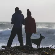 Storm Ingrid Batters UK with 60mph Winds and Month's Rain