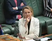Sussan Ley Confronts Right-Wing Challenge as Liberal-Only Frontbench Looms