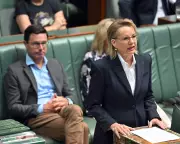 Sussan Ley Faces Decision on Nationals Frontbenchers After Hate Speech Bill Rebellion