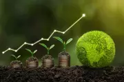 Sustainable Investing Guide: How Your Money Can Drive Green Change