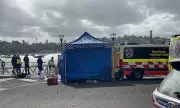 Sydney Harbour Shark Attack: 12-Year-Old Boy Hospitalised with Serious Leg Injuries