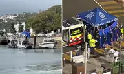 Sydney Harbour Shark Attack: 12-Year-Old Boy in Critical Condition After Legs Mauled