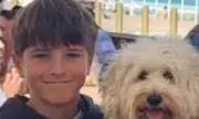 Sydney Harbour shark attack claims life of 12-year-old boy Nico Antic