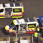 Sydney Shark Attack: 12-Year-Old Boy Fights for Life After Ambush at Nielsen Park