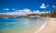 Sydney Shark Attack: Swimmer Critically Injured at Manly Beach
