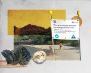 Sydney's Sewage Crisis: Up to 12,000 Food Businesses Suspected of Illegal Waste Discharge