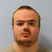 Tate Modern Attacker Jonty Bravery Jailed for Assaulting Nurses at Broadmoor