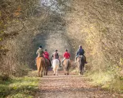 The Great British Poo Divide: Why Must Dog Owners Scoop But Horse Riders Can Leave It?