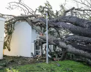 Thousands in Cornwall Still Without Power and Water Days After Storm Goretti
