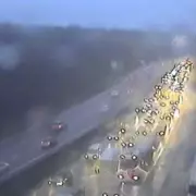 Three Horses Killed in A3 Crash Near Guildford, Major Road Closed