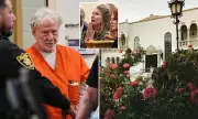 Timothy Busfield's Lavish First Night of Freedom After Jail Release