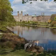 Tolkien's Lancashire Trail: Where Middle-Earth Magic Meets Ribble Valley Reality