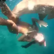 Tourist's Shark Attack Horror: Nurse Shark Bites Leg in Brazil