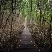 Tourist's Winter Cotswolds Walk Goes Wrong After Forgetting Essential Item