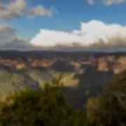 Tragedy in Blue Mountains: Teenage Boy Found Dead in Creek After Camping Trip Separation