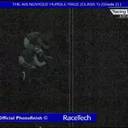 Trainer Accepts Defeat After Chaotic Cheltenham Race Marred by Track Issue and Fading Light