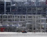 Trump's Energy Dominance Tightens Grip on EU and UK Gas Supplies, Study Warns