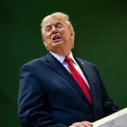 Trump's 'Phenomenal' ICE Verdict Amid Minnesota Force Controversy