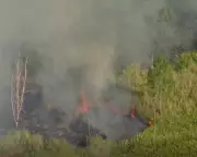 Two Killed in Gold Coast Plane Crash That Ignites Bushfire at Regional Airport