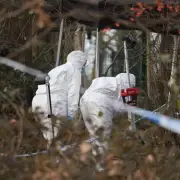 Two Teenagers Arrested Following Fatal Stabbing of 15-Year-Old in Guildford Woodland