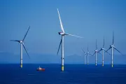 UK Awards Record Offshore Wind Contracts to Power 12 Million Homes