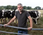 UK Dairy Farmers Face £1,800 Daily Losses as Milk Prices Plummet