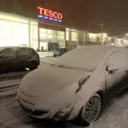 UK's £2 Cat Litter Hack for Icy Driveways Revealed by Experts