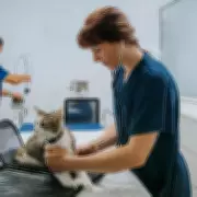 Vet Reveals the One Pet Type He Dreads Seeing at His Surgery