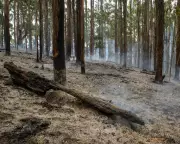 Victoria's Otways Bushfire Threat Remains as Dry Conditions Linger