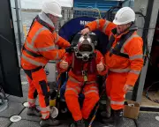 Water Industry's £104bn Spending Spree Faces Contractor Shortages and Inflation