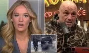White House Clashes with Joe Rogan Over ICE-Gestapo Comparison