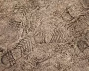 Why Britain's Frozen Soil is a Vital, Magical Force for Life