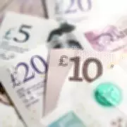 William Shatner's Kidney Stone Sale Broke World Record for Charity