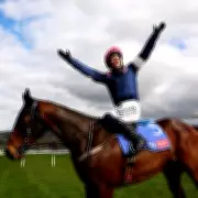 Willie Mullins Withdraws Kopek Des Bordes from Dublin Festival, Owner 'Heartbroken'