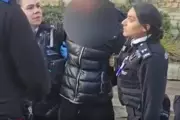 Woman, 40s, Arrested and Handcuffed by Met Police for Feeding Pigeons in London