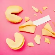 Woman's Fortune Cookie Message Leads to New Cat After Pet Loss