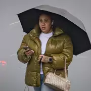 XL Bully Owner Banned After Dog Starved and Euthanised in Birmingham